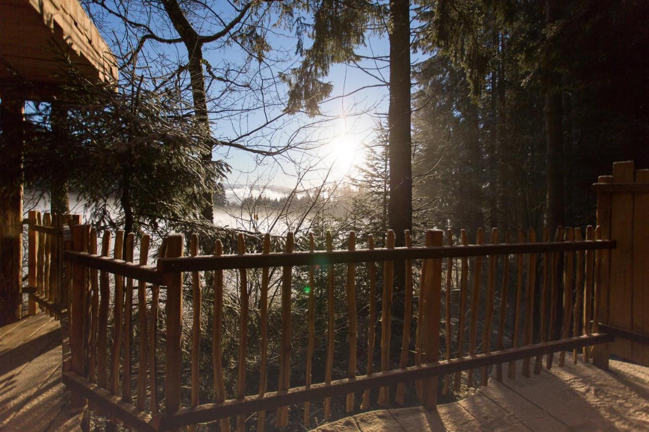Domaine De L'Authentique Cabanes Dans Les Arbres Fournet-Blancheroche Bagian luar foto