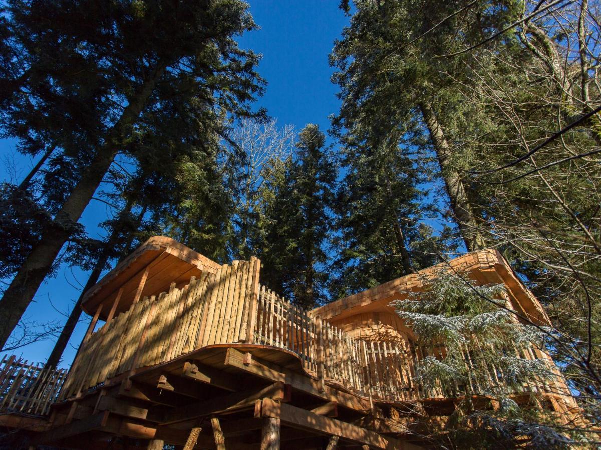 Domaine De L'Authentique Cabanes Dans Les Arbres Fournet-Blancheroche Bagian luar foto