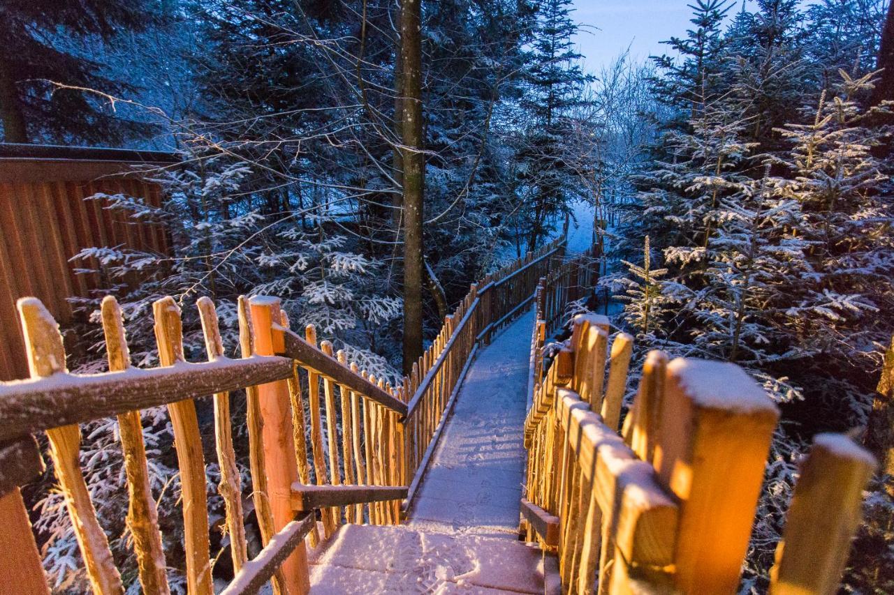Domaine De L'Authentique Cabanes Dans Les Arbres Fournet-Blancheroche Bagian luar foto