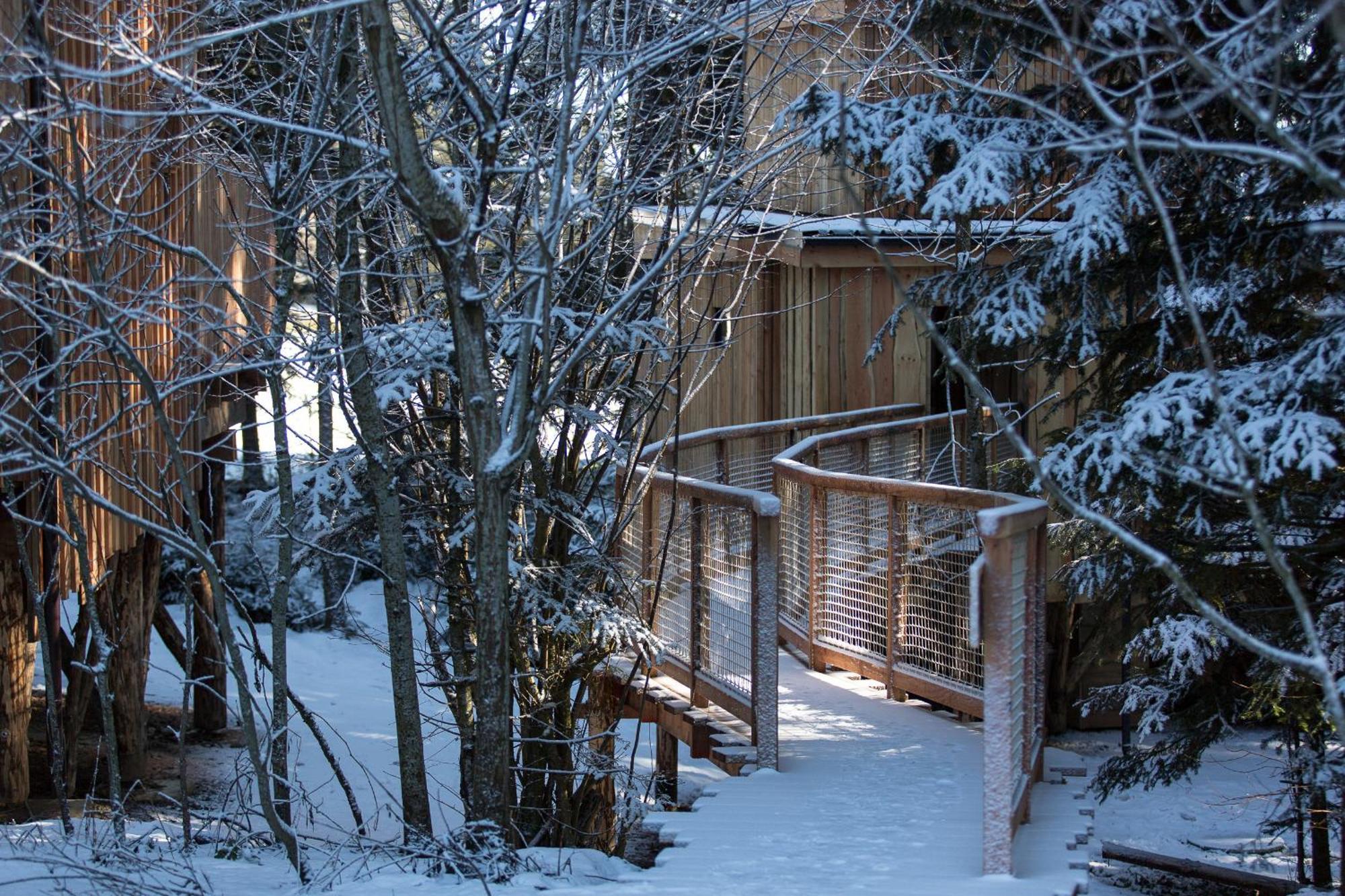 Domaine De L'Authentique Cabanes Dans Les Arbres Fournet-Blancheroche Ruang foto